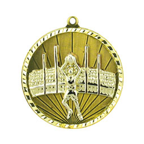 1068-3G AFL Medal