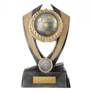 F18-0506 Soccer Trophy 175mm