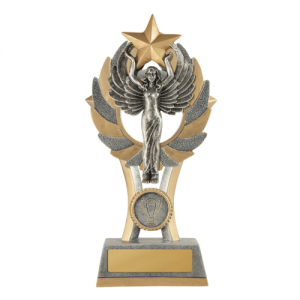11A-FIN56F Achievement Trophy 175mm