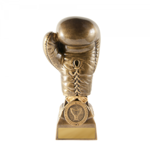 640-32A Martial Arts Trophy 200mm