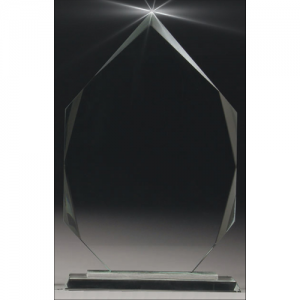 CT630L Glass Trophy 255mm