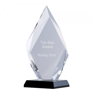 EBONY7 Crystal Trophy 225mm