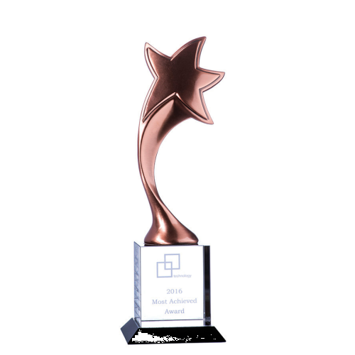 STAR1BR Glass Trophy 300mm | Affordable Trophies