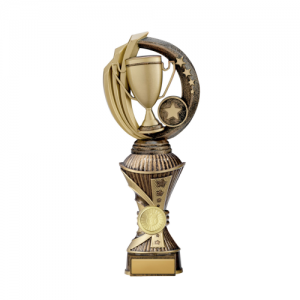 W18-1615 Achievement Trophy 270mm
