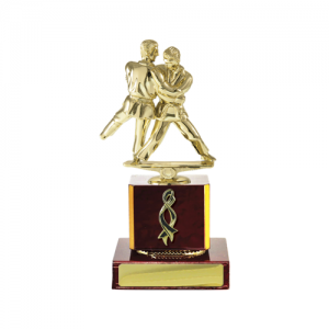 W18-3510 Martial Arts Trophy 195mm