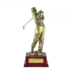 W18-4201 Golf Trophy 245mm