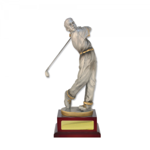 W18-4207 Golf Trophy 245mm