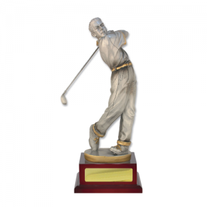 W18-4209 Golf Trophy 405mm