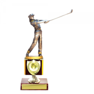 W18-4808 Golf Trophy 272mm