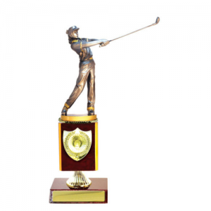 W18-4809 Golf Trophy 297mm