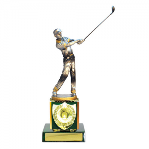 W18-4812 Golf Trophy 250mm